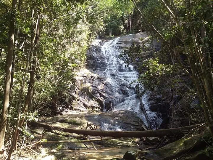 Segari, The Last Coastal Hill Forest in Malaysia