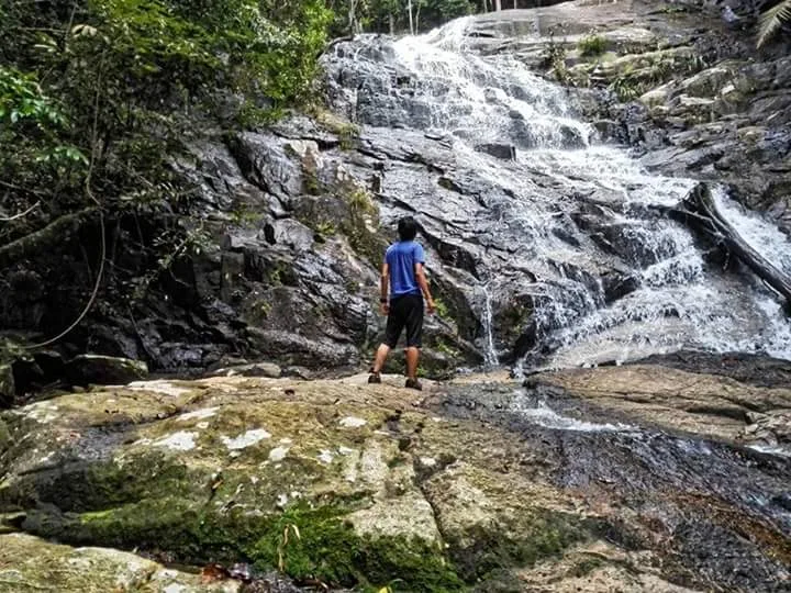 Segari, The Last Coastal Hill Forest in Malaysia