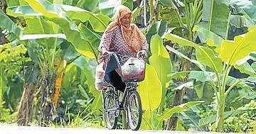 Puan Saadiah