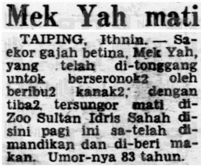The Story of Mek Yah, the Elephant from Perak That Walked Over 200 Miles