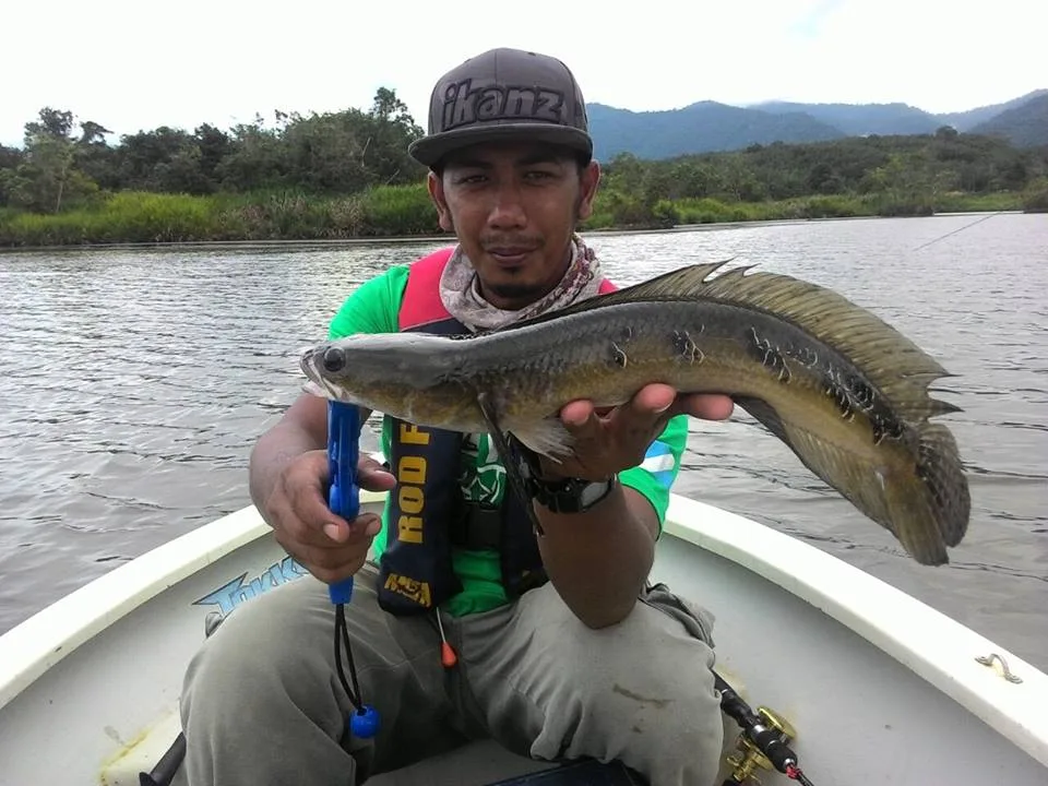 Malaysia's Mini Amazon in Kampung Beng