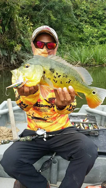 Malaysia's Mini Amazon in Kampung Beng