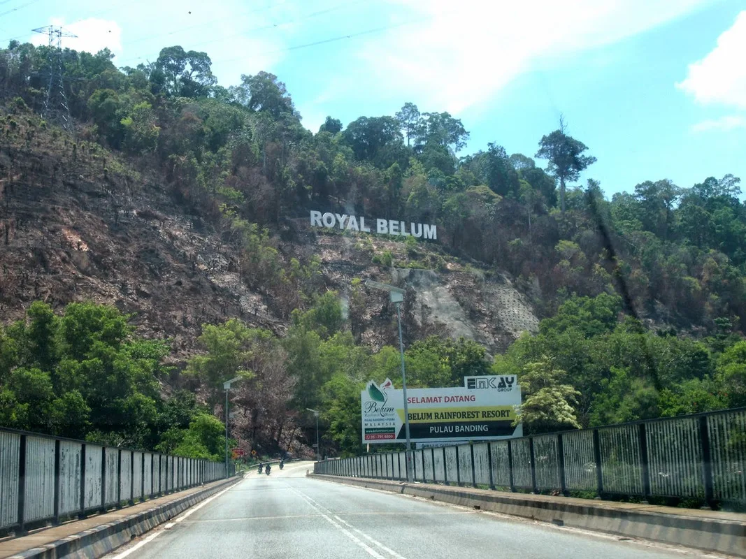 The Origin and History of the Name Royal Belum