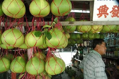 tambun pomelo