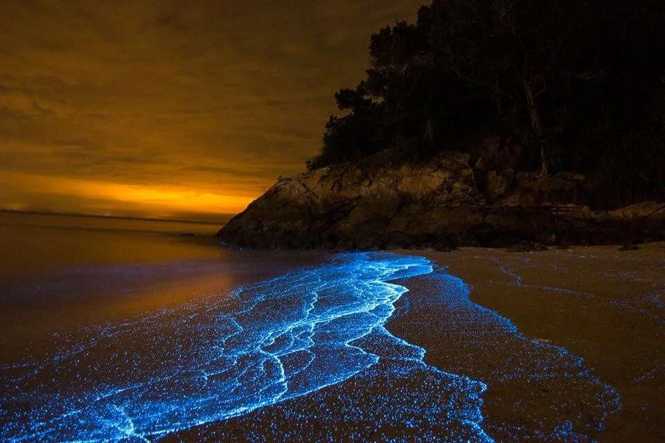pantai pulau sembilan