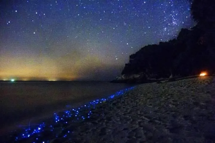 pantai pulau sembilan