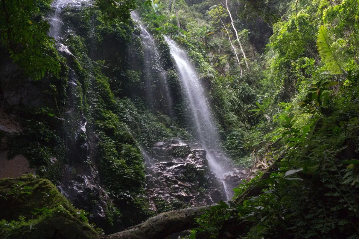waterfall