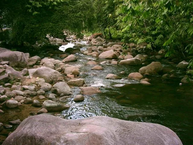 sungai bil