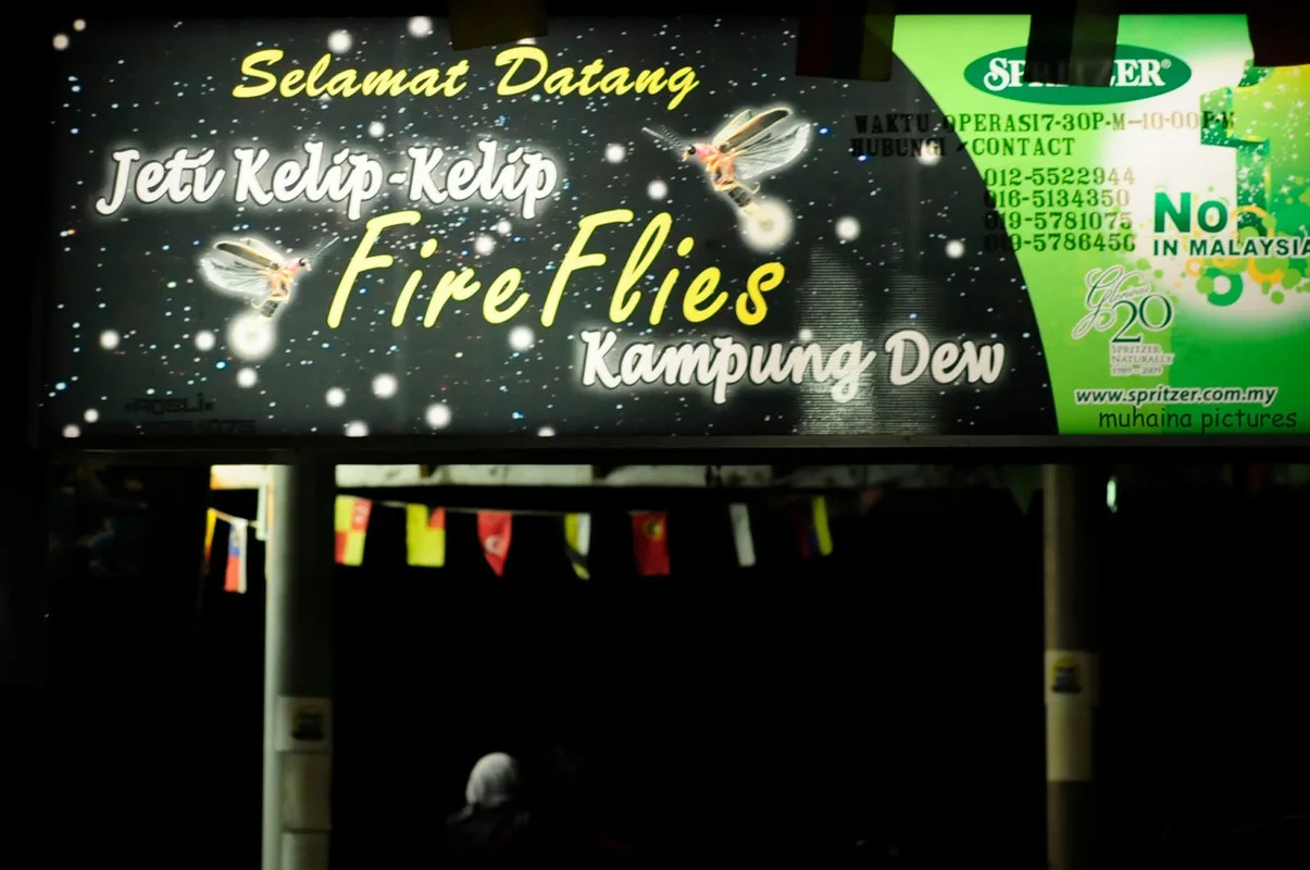 The Experience of Being Surrounded by Fireflies in Kampung Dew