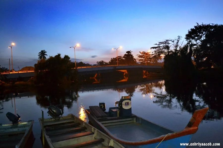 The Experience of Being Surrounded by Fireflies in Kampung Dew
