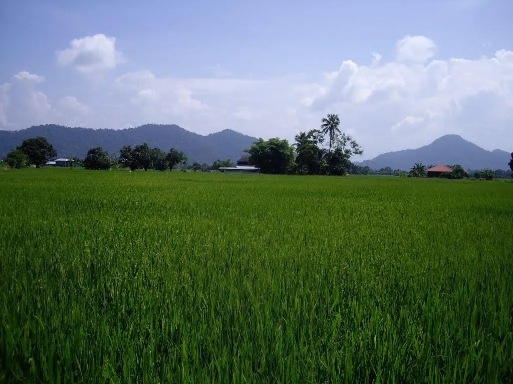 History and Origins of the Name Bagan Serai