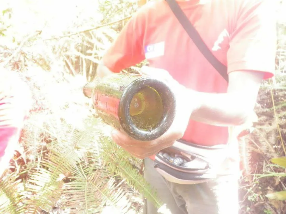 antique old liquor bottle
