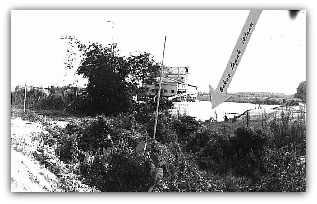 Teja Palace Site