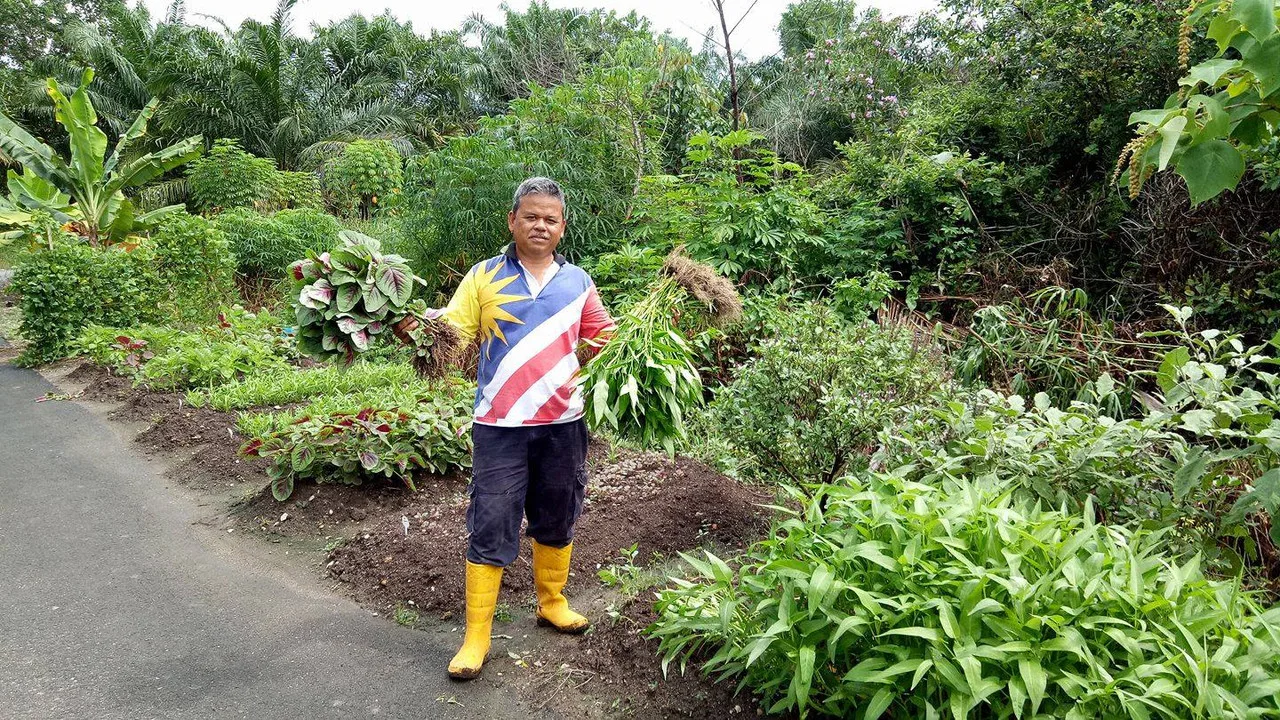 Kitchen Garden by a Retired Navy Veteran at His Home in Lekir, Perak