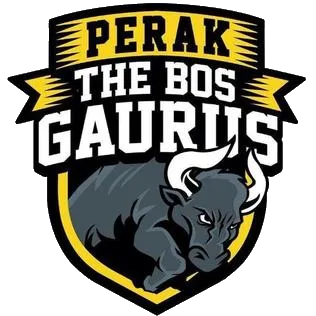 Perak Football Association, Perak FA